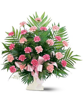 Classic Carnation Arrangement Classic Carnation Arrangement - Just how much you care will be so very clear when you send this lovely arrangement full of pink carnations. As Shown includes 24 carnations Deluxe includes 36 carnations Premium includes 48 carnations One fan-shaped design of light and dark pink carnations with complementing foliage and a pink ribbon is delivered in a traditional container. Approximately 32" W x 30" H Orientation: One-Sided TF198-3