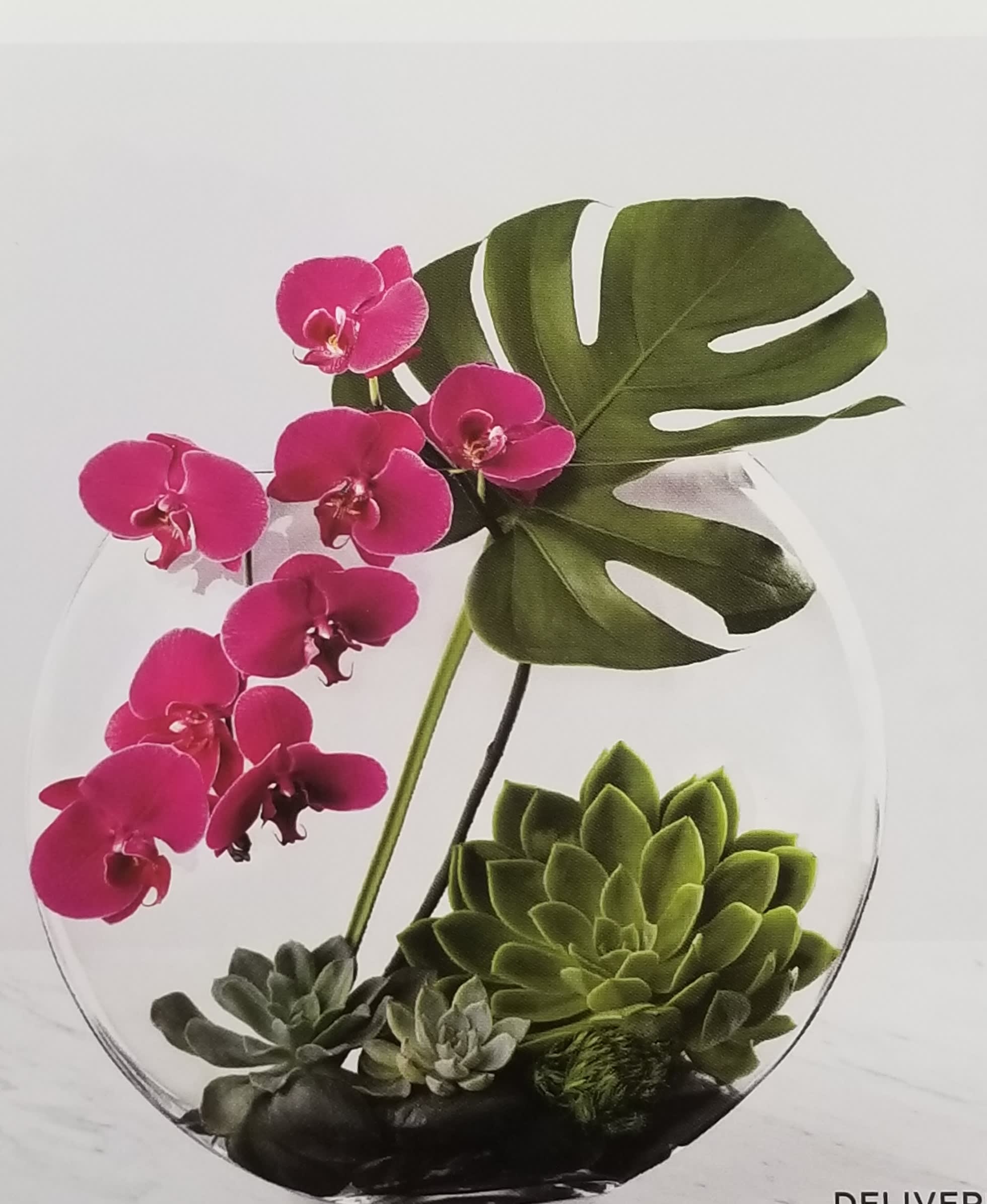 Defining Moments Luxury Bouquet LX165 Defining Moments Luxury Bouquet LX165 - Phalaenopsis orchids and monstera foliage with succulents Zen style Arrangement and a hand blown glass vase