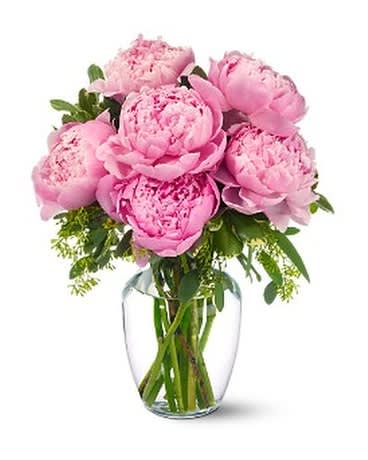 Peonies in Pink Bouquet  - A dream bouquet is created from six perfectly pink peonies - with their grand, ruffled blossoms - arranged with stems of delicate greenery, and presented in a classic glass vase. A guaranteed favorite! Six light pink peonies – arranged with seeded eucalyptus and variegated pittosporum – are delivered in a glass rose vase.