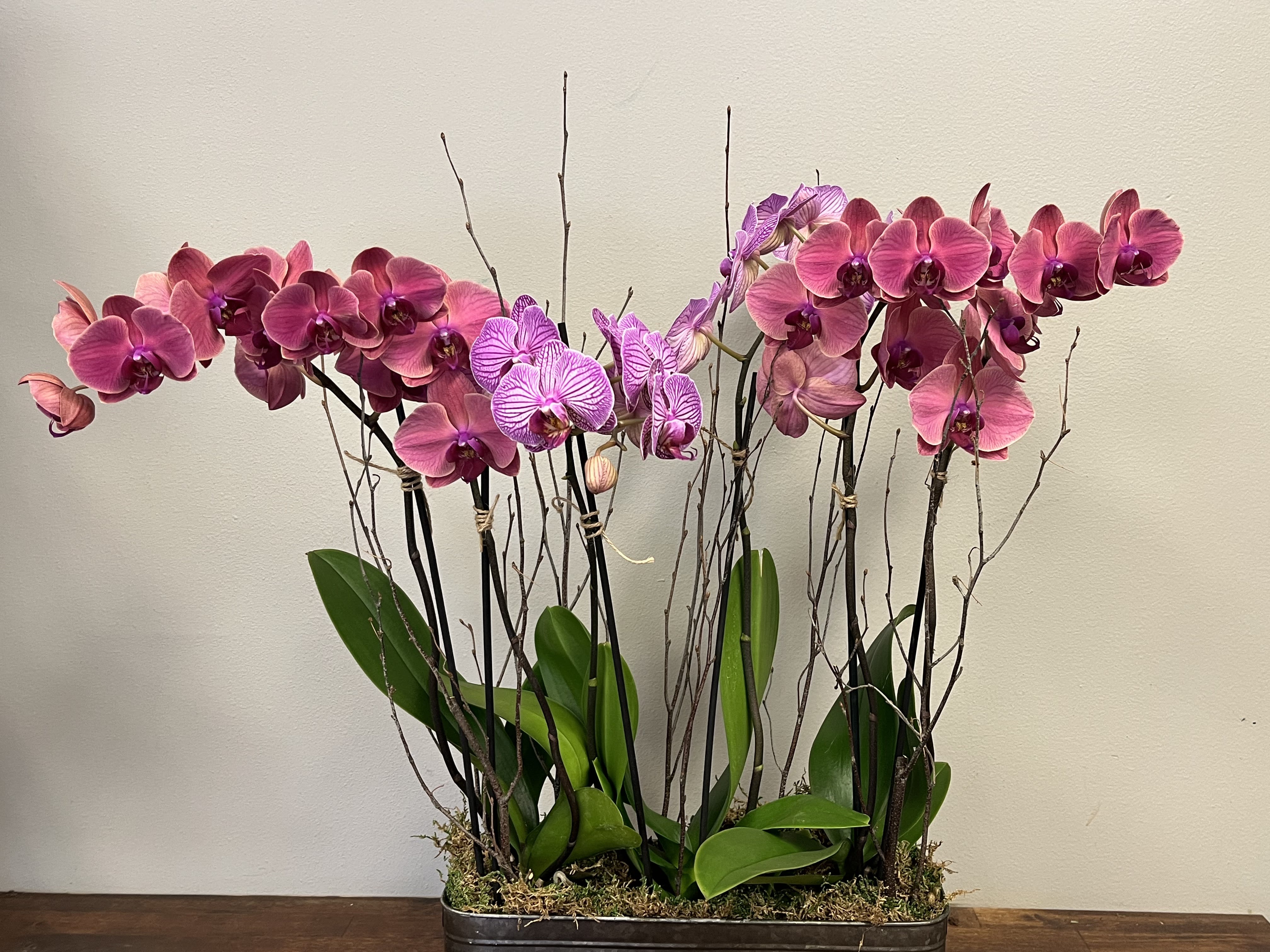 Orchids of Hope in Middleton, WI Promises Floral and Gift Studio