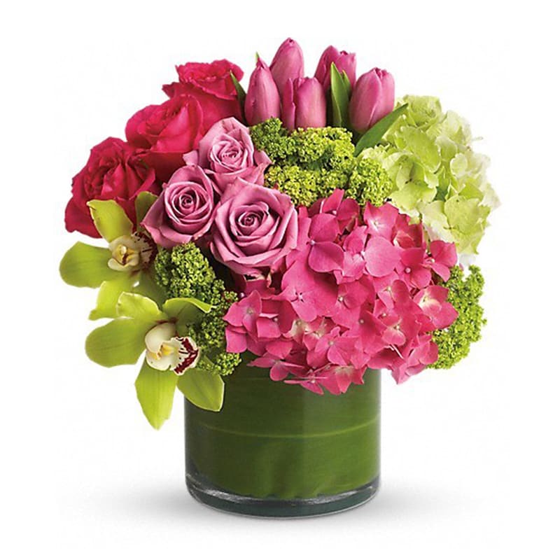  New Sensations - Upscale and uptown. This fantastic arrangement is a beauty and a half to behold. Overflowing with gorgeous blossoms and delivered in a leaf-lined cylinder vase, it's truly a floral fantasy.  Green and pink hydrangeas, green cymbidium orchids, hot pink and lavender roses, tulips and more are beautifully arranged in a large clear glass cylinder vase.      Orientation: All-Around      All prices in USD ($)      Standard      T82-3A      Deluxe      T82-3B      Premium      T82-3C 