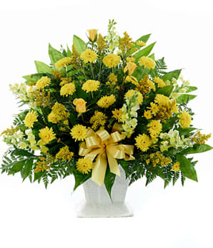 Classic Yellow Classic Yellow - Yellow mums and snaps