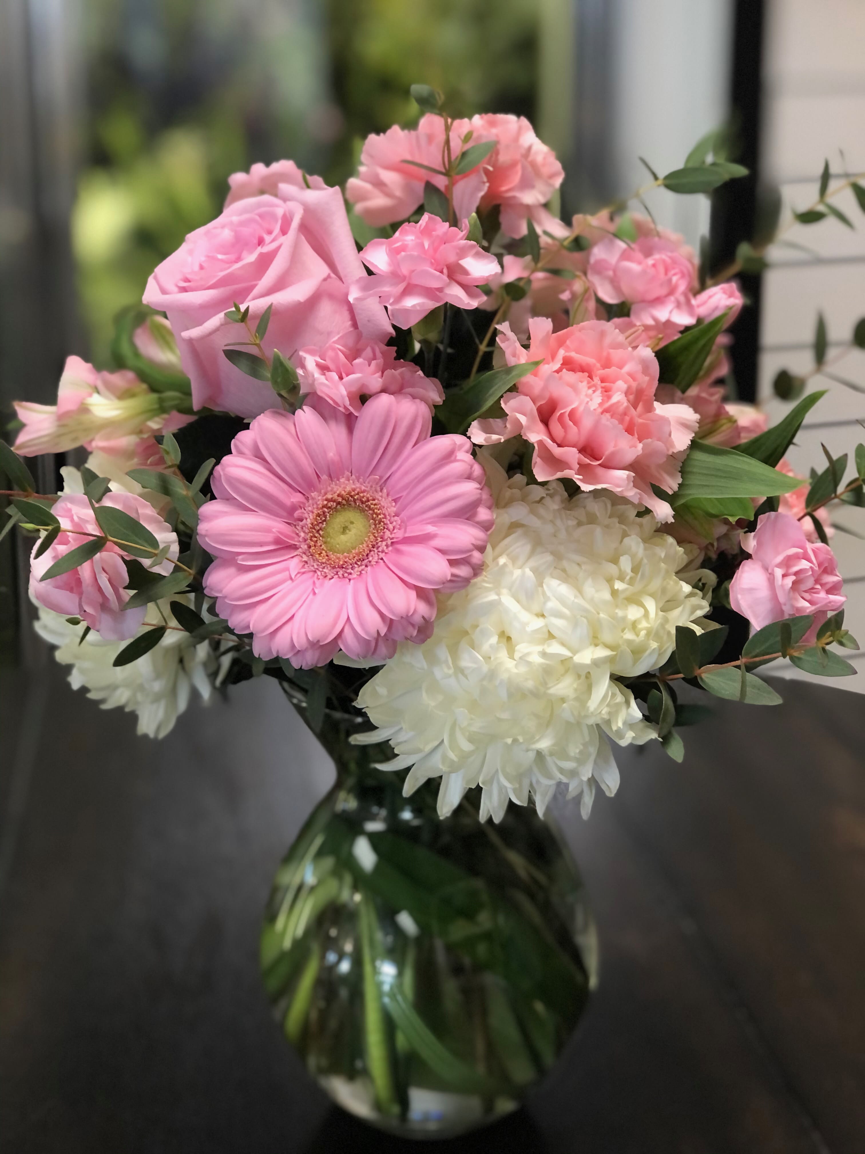 Mums Garden in Salem, NH Ford Flower Co.