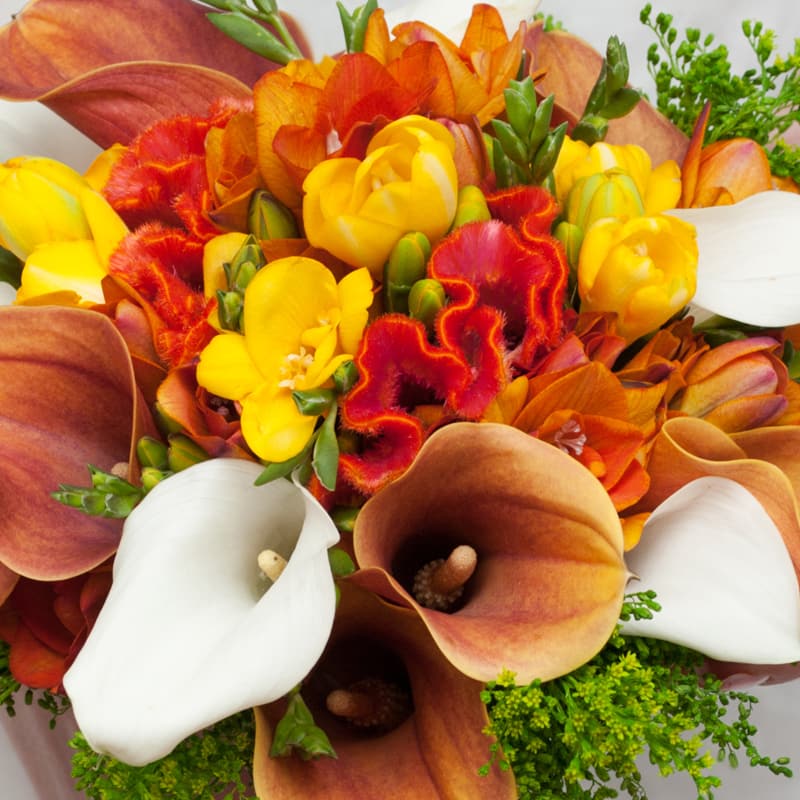 Designer's Choice- For Him Designer's Choice- For Him - Remind that special man in your life how much you mean to them with a one-of-a-kind arrangement that is sure to make them smile.