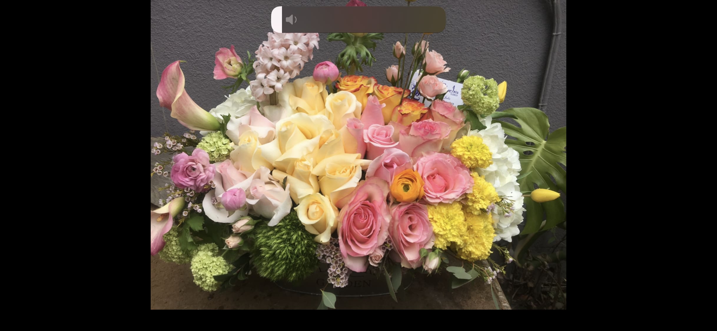 Roses tulips Hydrengea spring flowers Roses tulips Hydrengea spring flowers - Spring