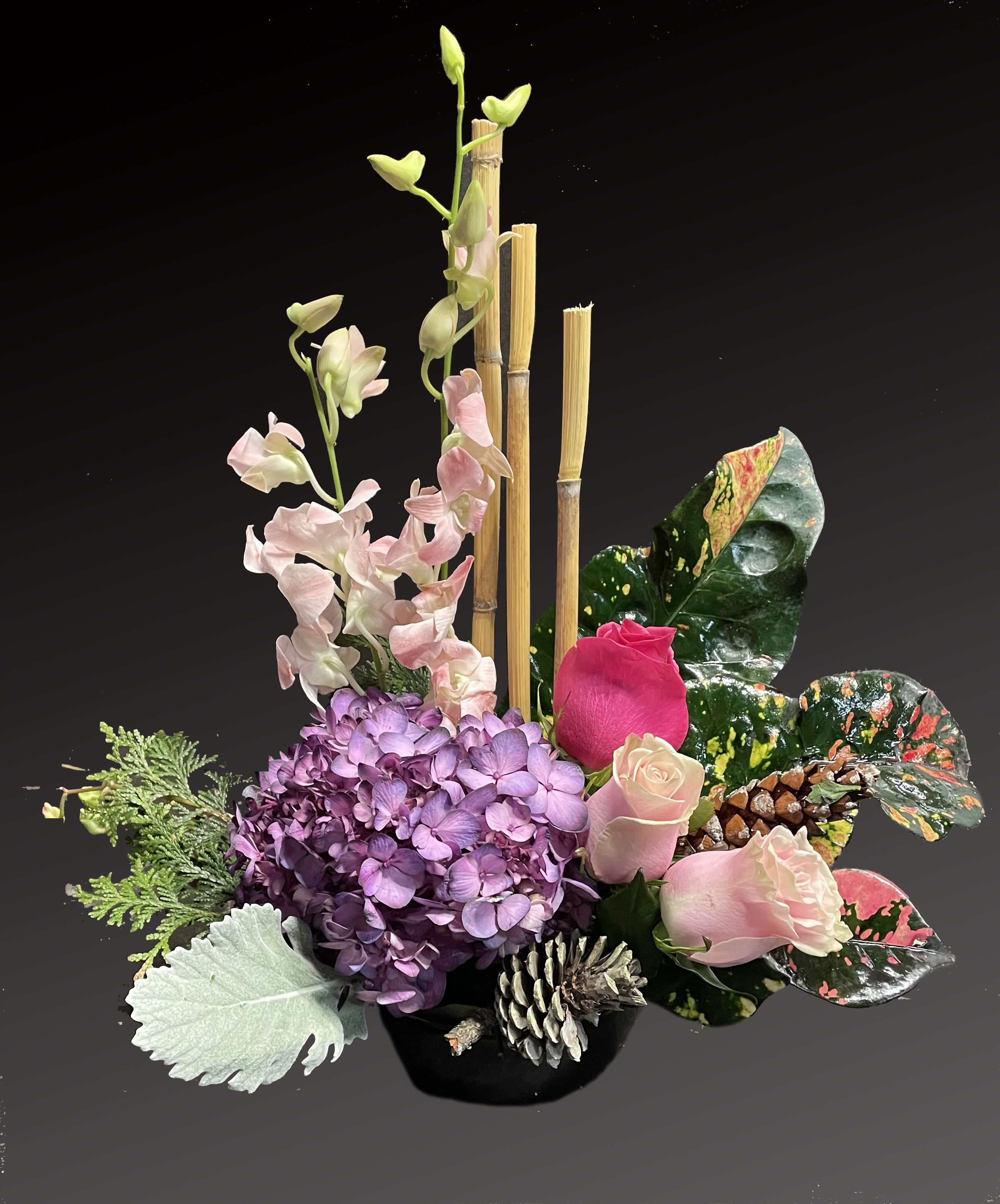 Orchid in the winter Orchid in the winter - Escape into your very own a tranquil Zen garden with this serenely lovely arrangement of orchids, roses and hydrangea in a sleek, ceramic black dish. It's an elegant gift of peace for home or office.
