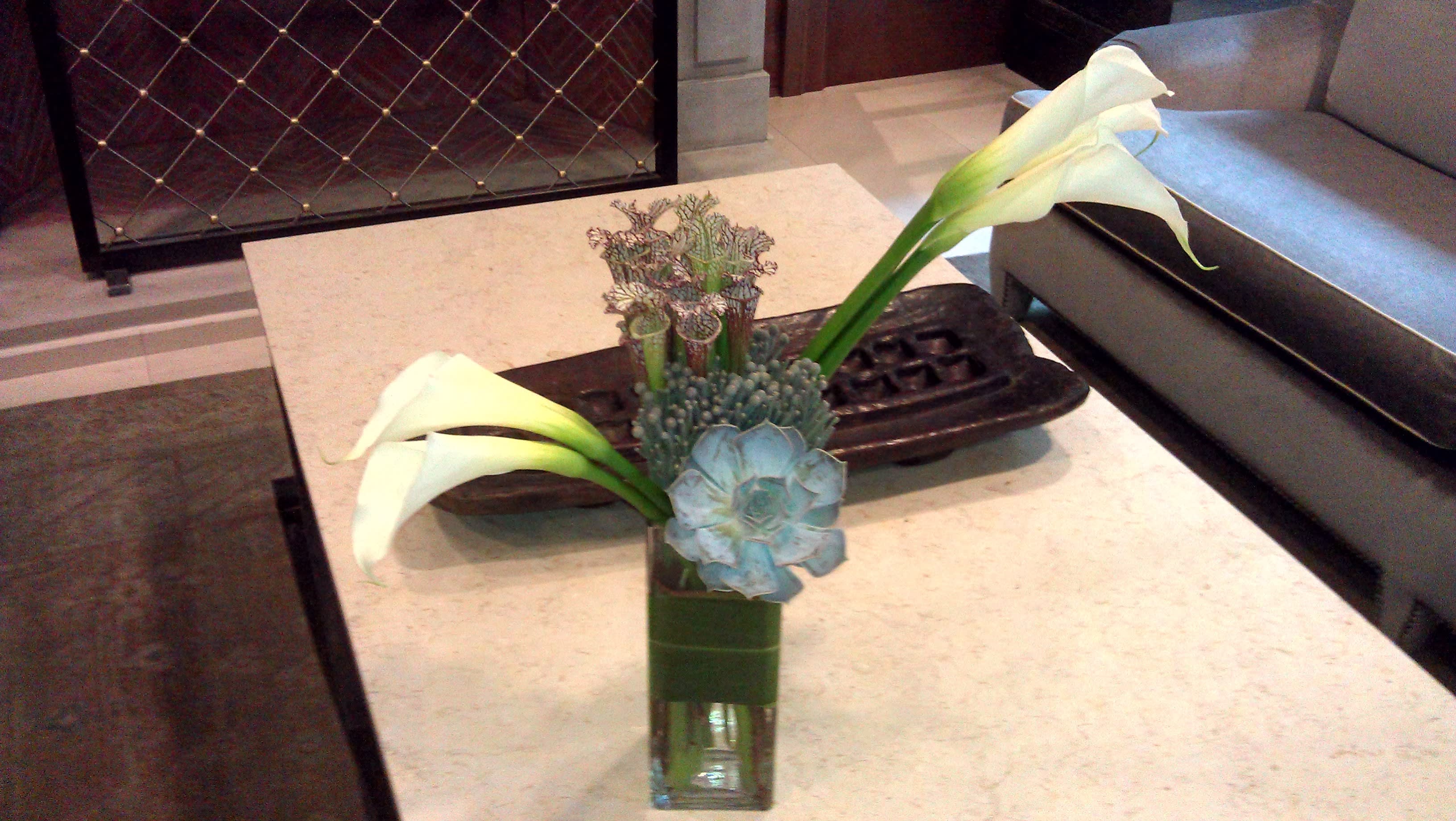 Succulent Callas - Open cut calla lilies, brunia, cobra lilies, &amp; succulent in a square glass container.