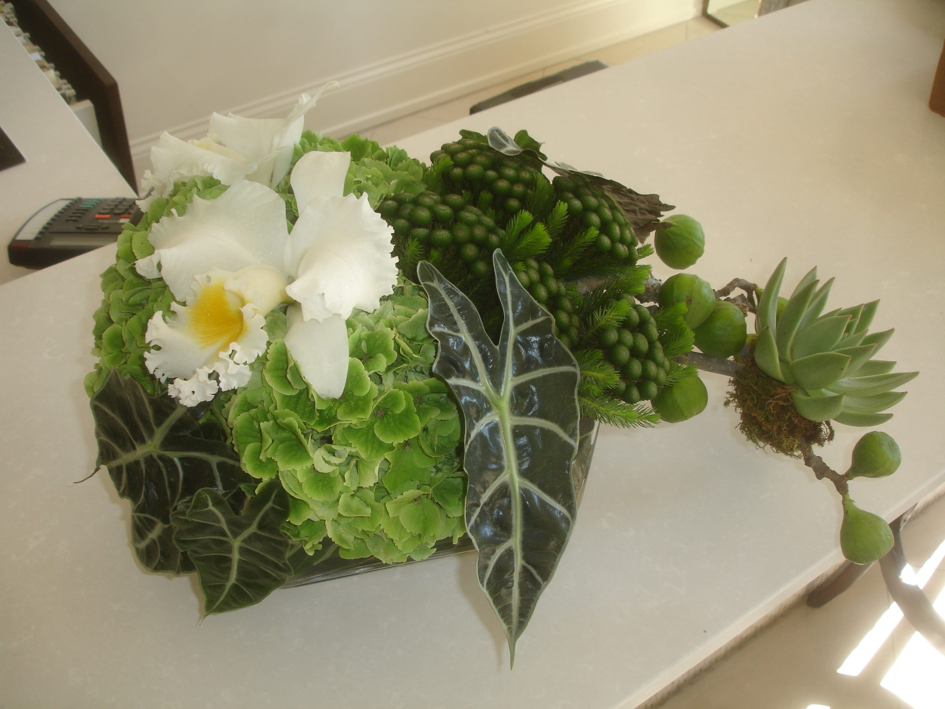 Simply Modern - Dutch hydrangea, cattleya orchids, &amp; succulents in a glass rectangle container.