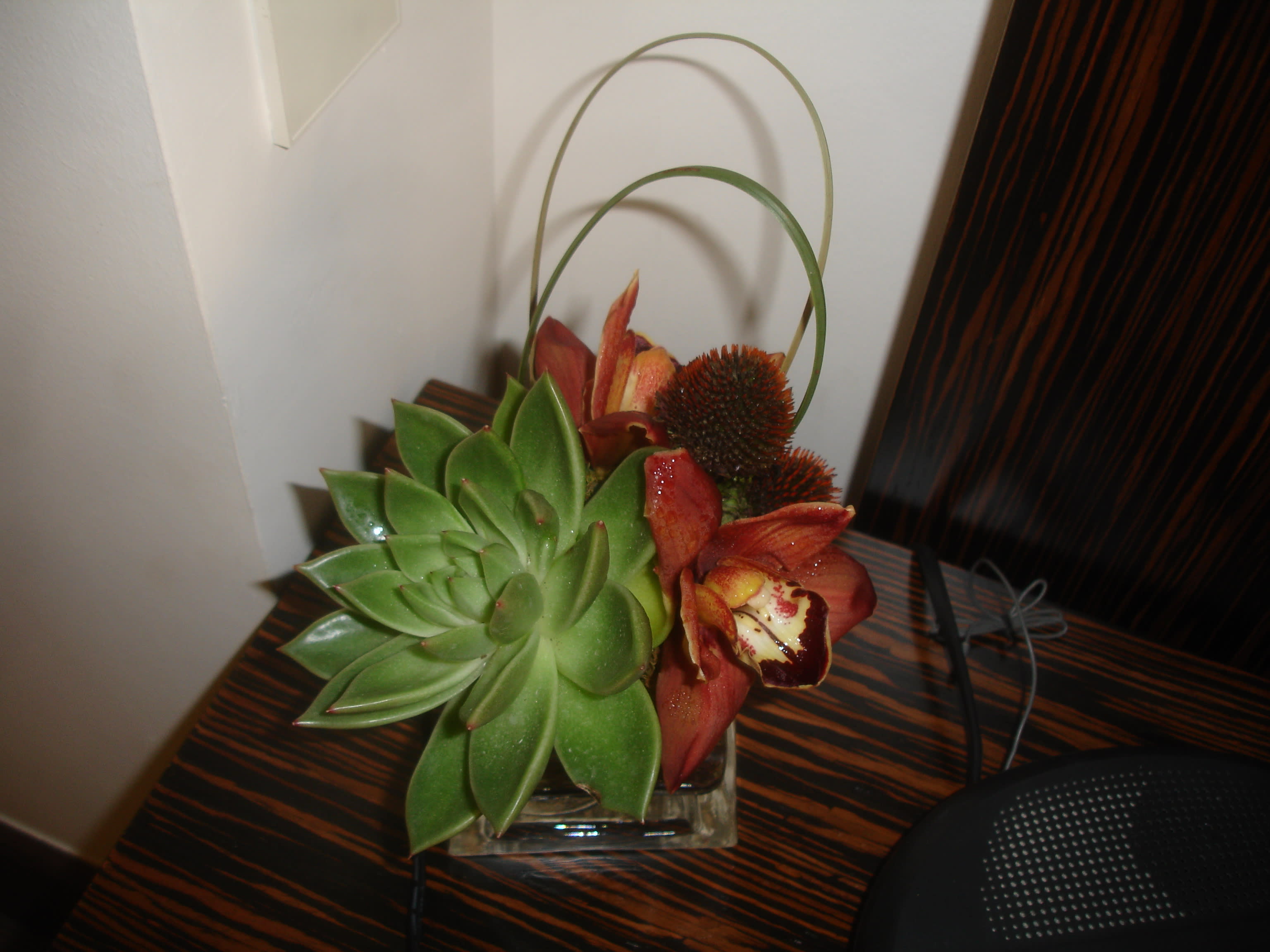 Simply Succulent - Bear grass, succulent, &amp; cynbidium orchids in a square glass container.
