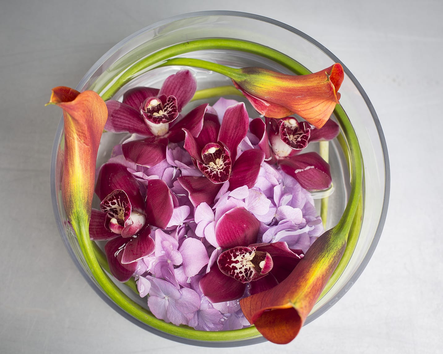 Calla Swirl - Mango calla lily, hydrangea &amp; orchids in a glass container.