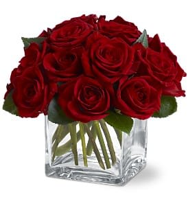 Dozen Rose Contempo - A dozen lush red roses, arranged into an unadorned bouquet, is an instant classic. Fragrant, glamorous and communicating the language of love, this gift can be sent from a man to a woman - or from a woman to a man. It's traditional yet modern, and simply perfect.