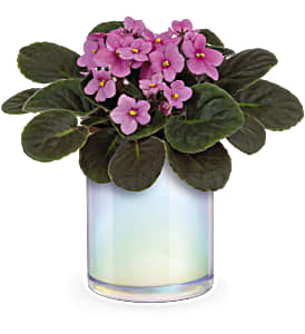 Luminous Leaves - A beautiful blooming plant in the shiny iridescent vase