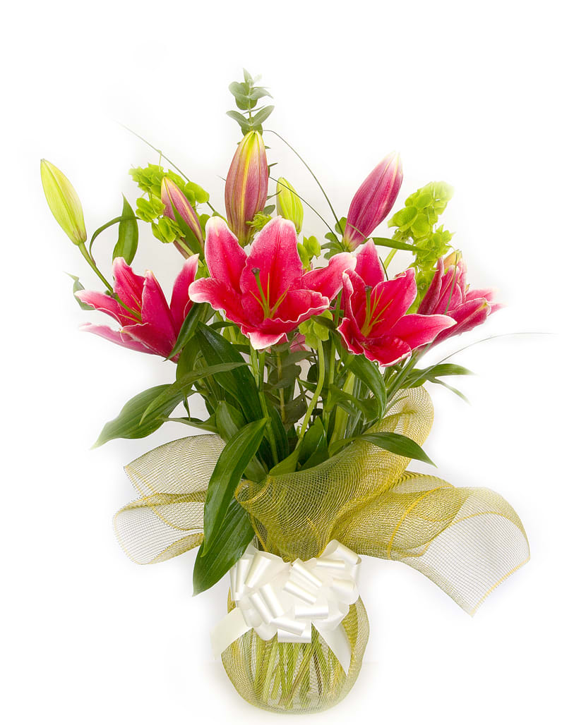 Pink Lilies in San Gabriel, CA The Daily Blossom Florist