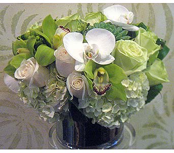 Classy Green - This sophisticated elegant arrangement is composed of rare green and white blooms. It contains white hydrangeas, vendela and jade roses, green Cymbidium orchid blooms, white phalaenopsis orchid blooms and a few succulents.