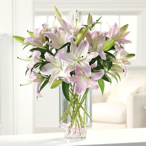 Ooh-La-La Lilies - This dramatic design features pink Oriental lilies nestled in pink &quot;crushed ice.&quot; Ooh-la-la!  Please note color and container may vary.