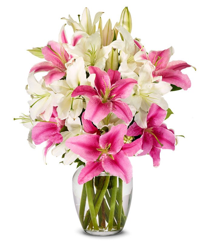 Stunning Pink and White Lilies - Stunning Pink and White Lilies in a clear or pink vase ( Depends on current availability).