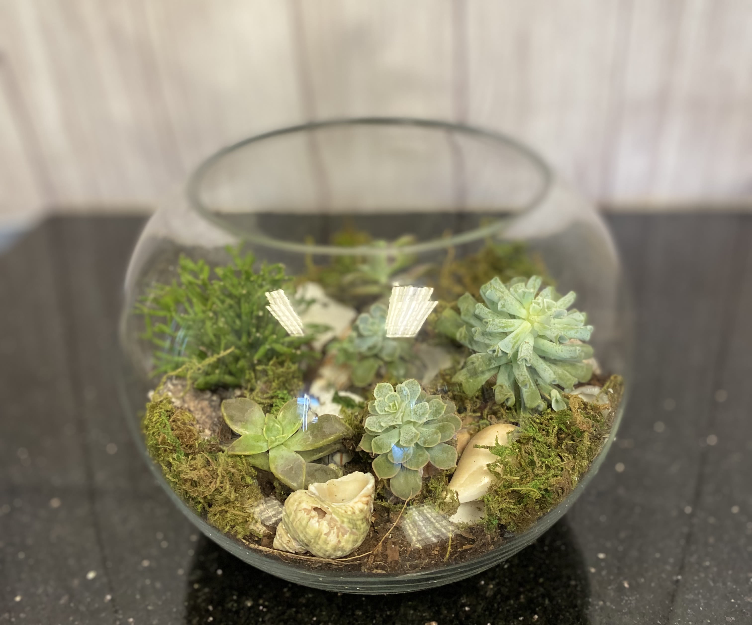 V131 V131 - A beautiful mix of succulents arranged in a glass bowl.