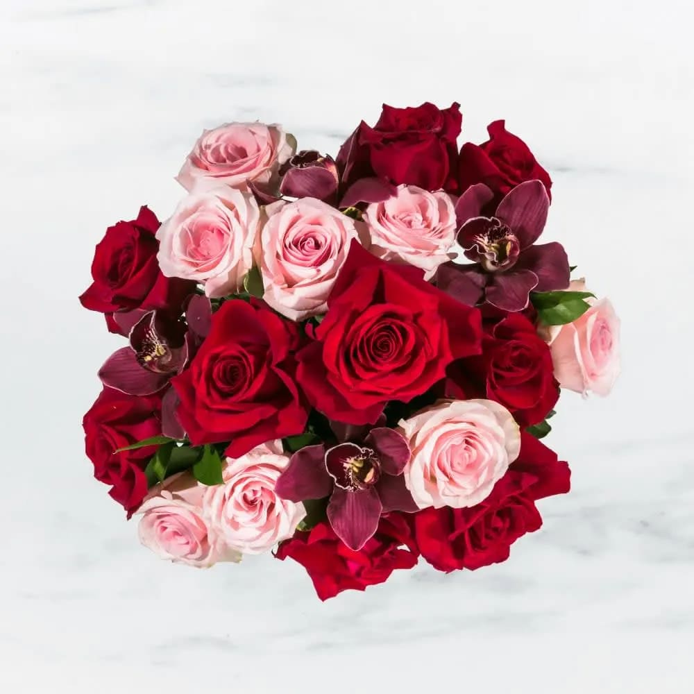 Truly Adored by BloomNation™ - This arrangement includes purple cymbidium orchids, red roses, &amp; pink roses. Truly Adored by BloomNation™ is the romantic gift for Valentine's Day or Anniversary.   APPROXIMATE DIMENSIONS: 16&quot; H X 13&quot; W