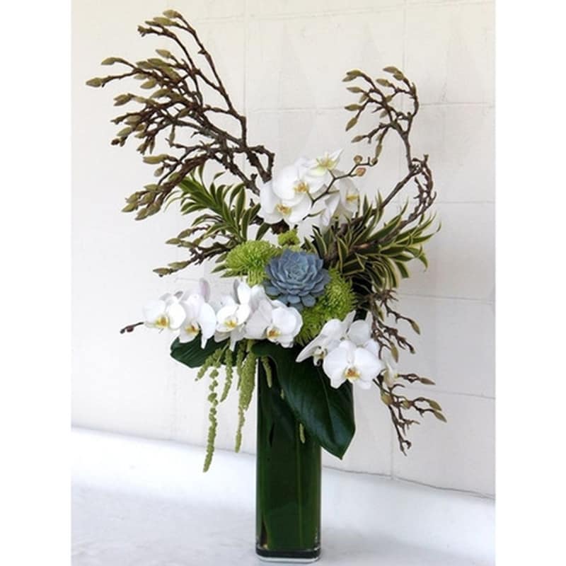  Simply Modern - Simple, tall and beautiful floral.  Perfect display of white Phalaenopsis orchids, succulents,  green hanging Amaranthus, in a tall glass container.  Product ID: DF-1596