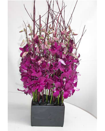 Orchid Blossom - Enchanting blossoms of purple dendrobium orchids nestled in with dogwood branches. This beautiful arrangement is placed in a wooden container with rock accents. Orchids are available in other colors.  Product ID: DF-71