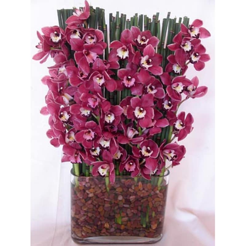 Climbing Orchids Climbing Orchids - Alluring purple or whites orchids nestled in with attractive horse tail. Arranged in an oval glass vase with rock accents. Available in other colors. Product ID: DF-45