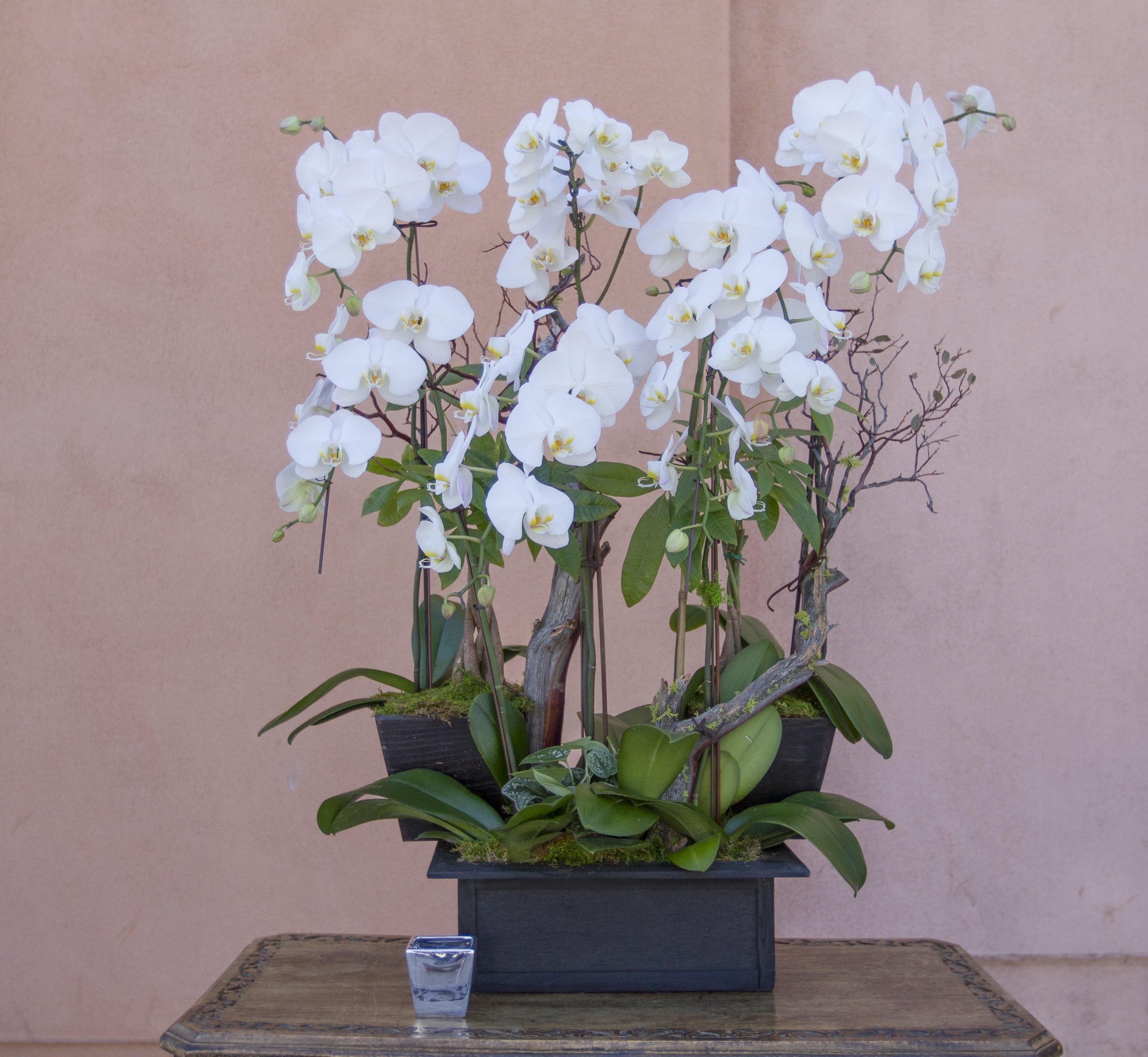 orchid arrangement 17 orchid arrangement 17 - orchid arrangement 17