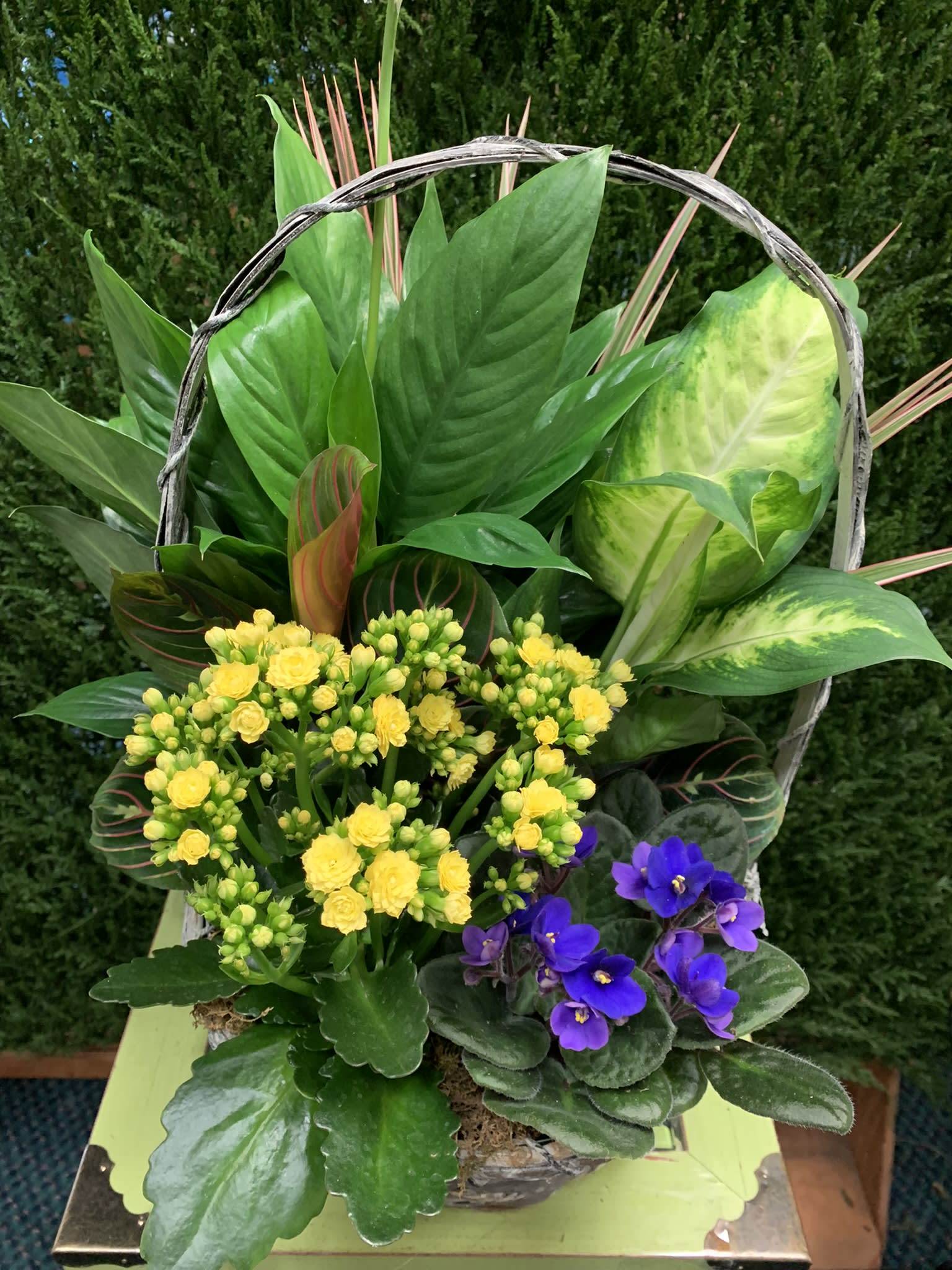 Kissimmee Florist European Garden in Kissimmee, FL Kissimmee Florist