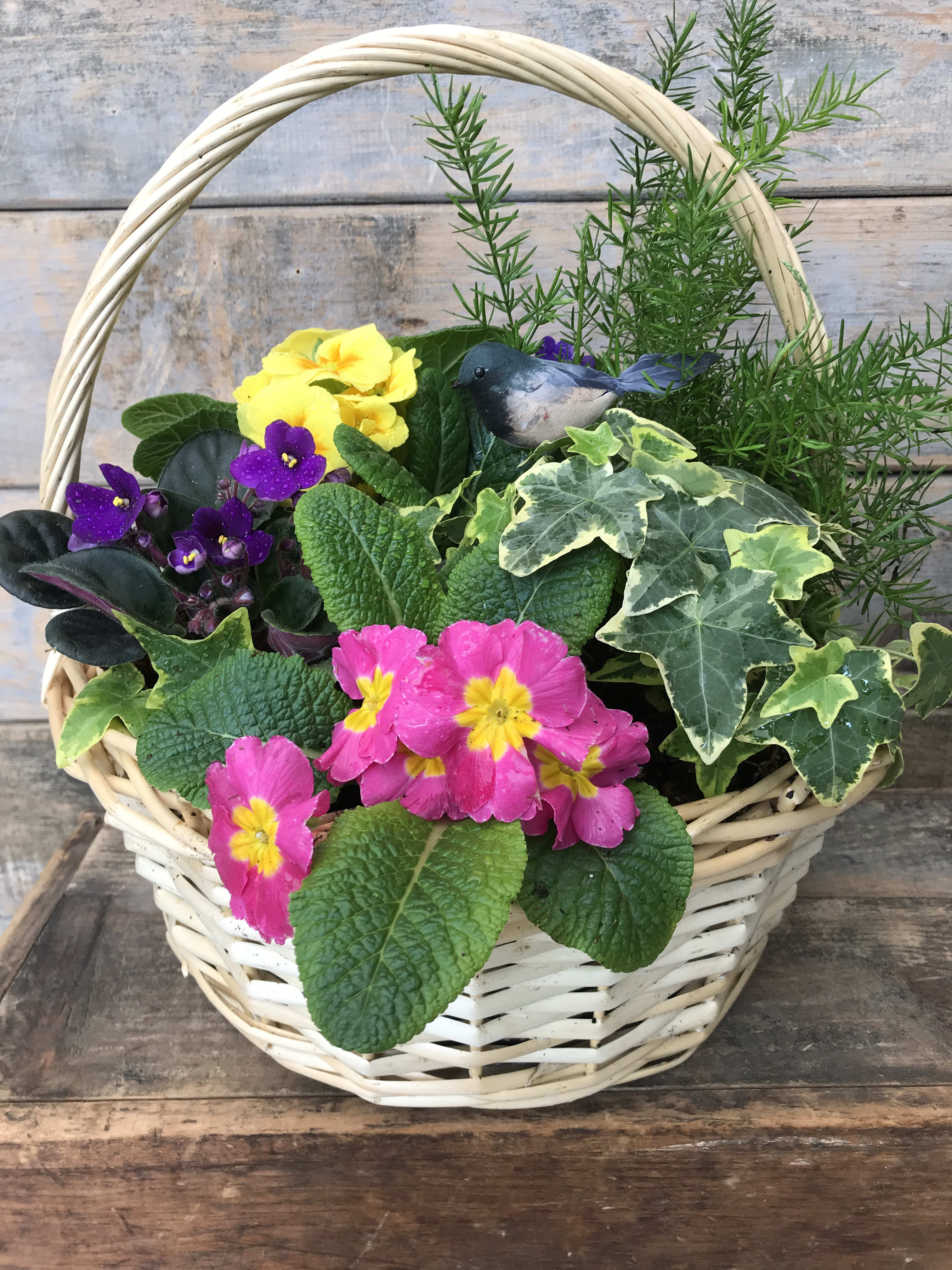 Basket of flowering and green plants - Green and flowering plants in an attractive basket, seasonal.