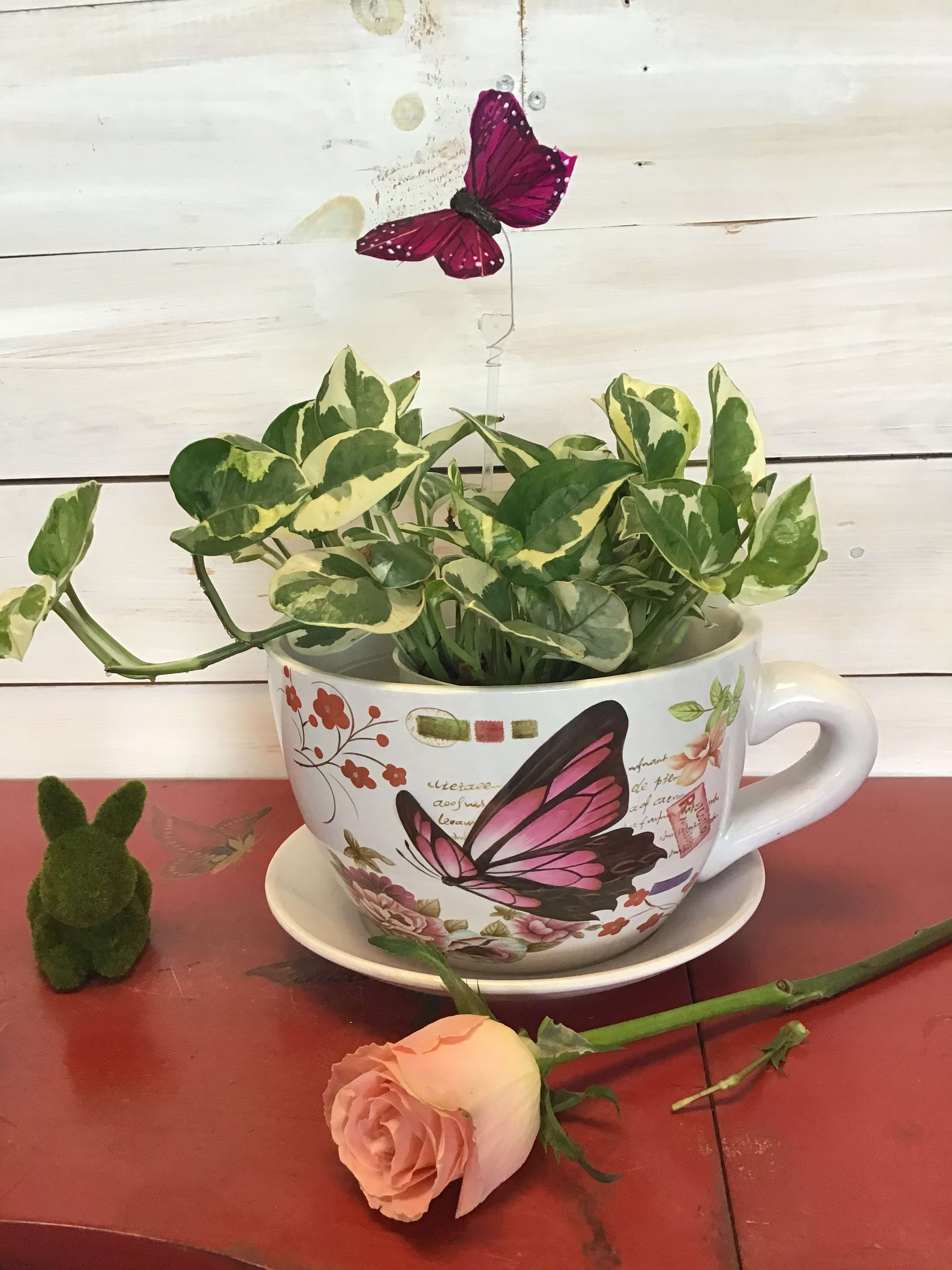 Big Teacup Planter. by Teresa's Flowers
