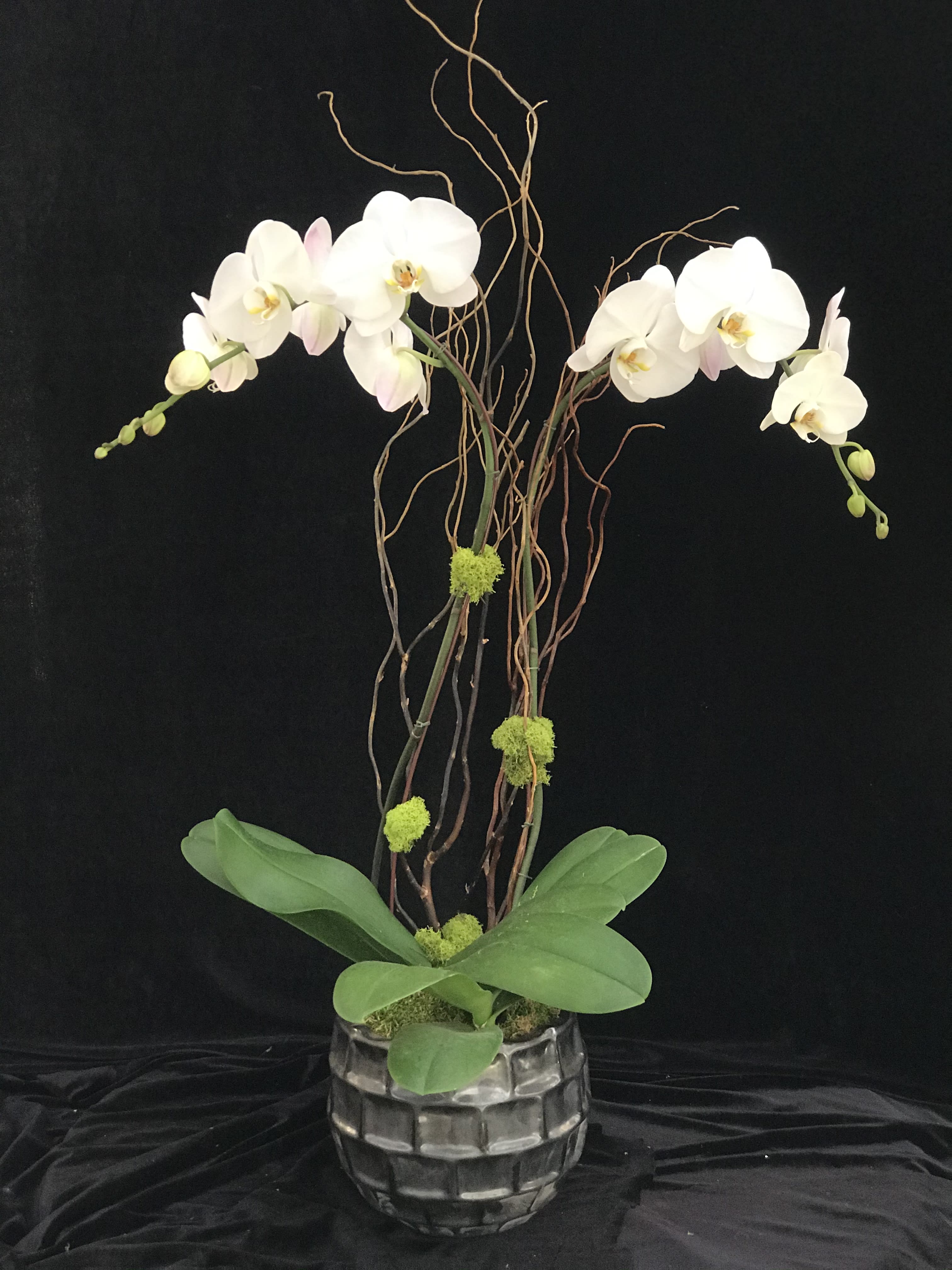Two white phalaenopsis design  - White phal. design with curly willows. 
