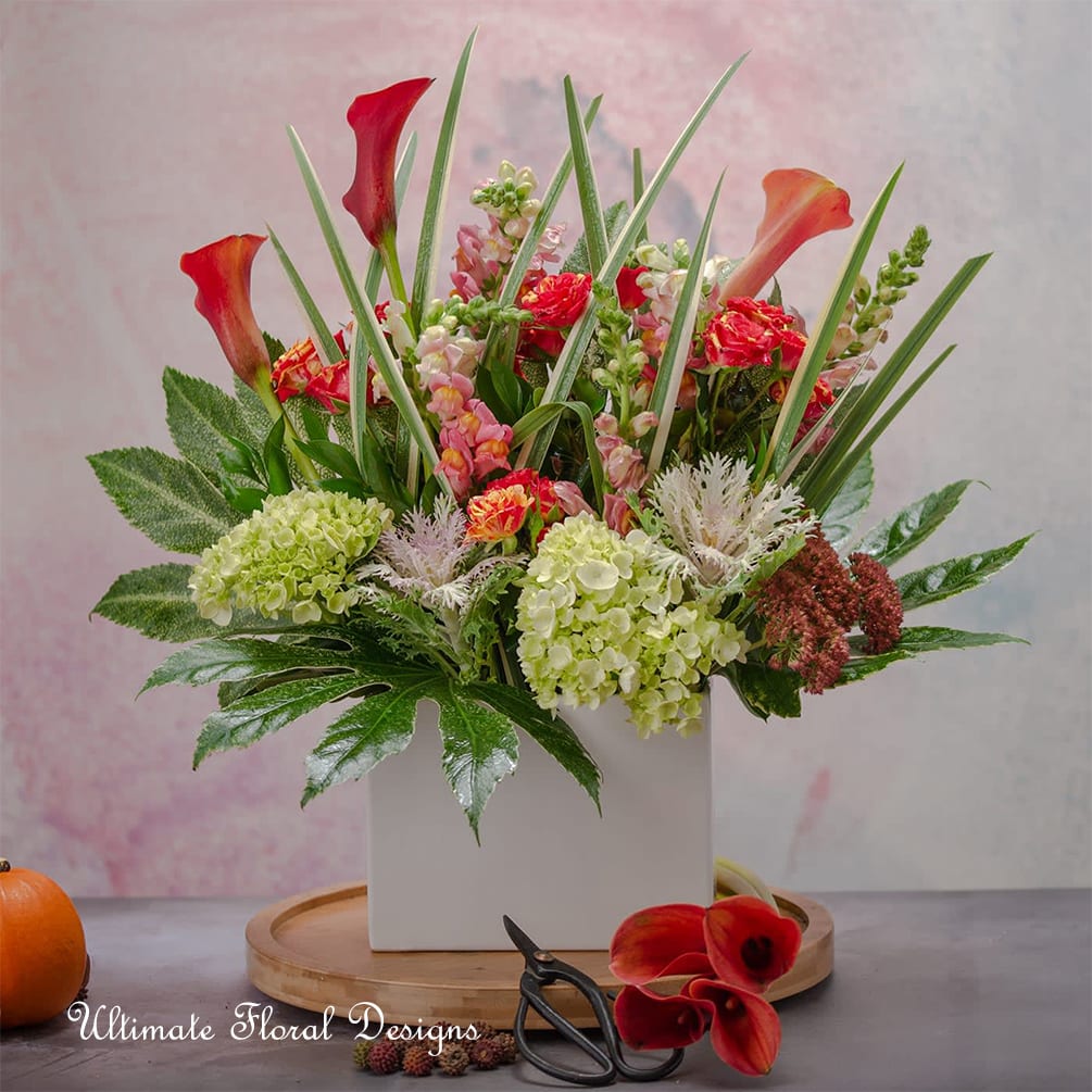 Bloom Bliss by Ultimate Floral Designs