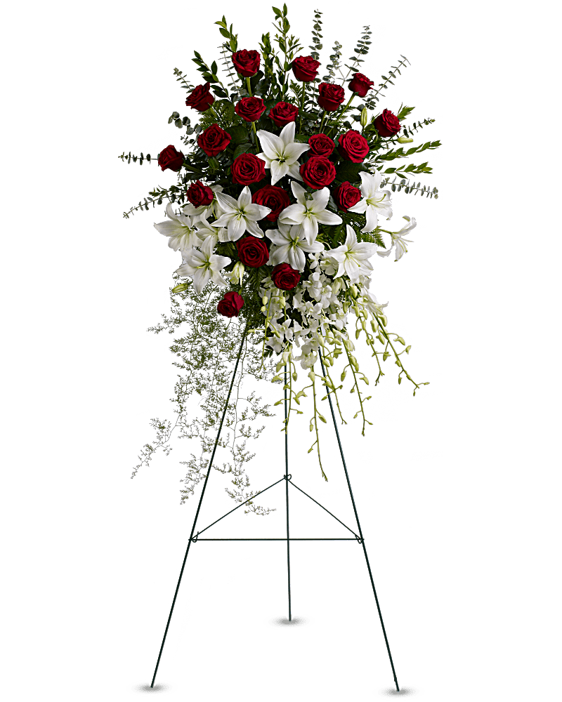  Lily and Rose Tribute Spray -  Make a statement of enduring love and tribute with this dramatic lily and rose funeral spray, presented on an easel for ease of placement. Red roses, white lilies and cascading white orchids are elegant funeral flowers fit to honor someone truly special.      Red roses, white asiatic lilies and delicate dendrobium orchids are accented with myrtle, sprengeri fern, leatherleaf fern and spiral eucalyptus on a traditional wire funeral easel.     Orientation: One-Sided 
