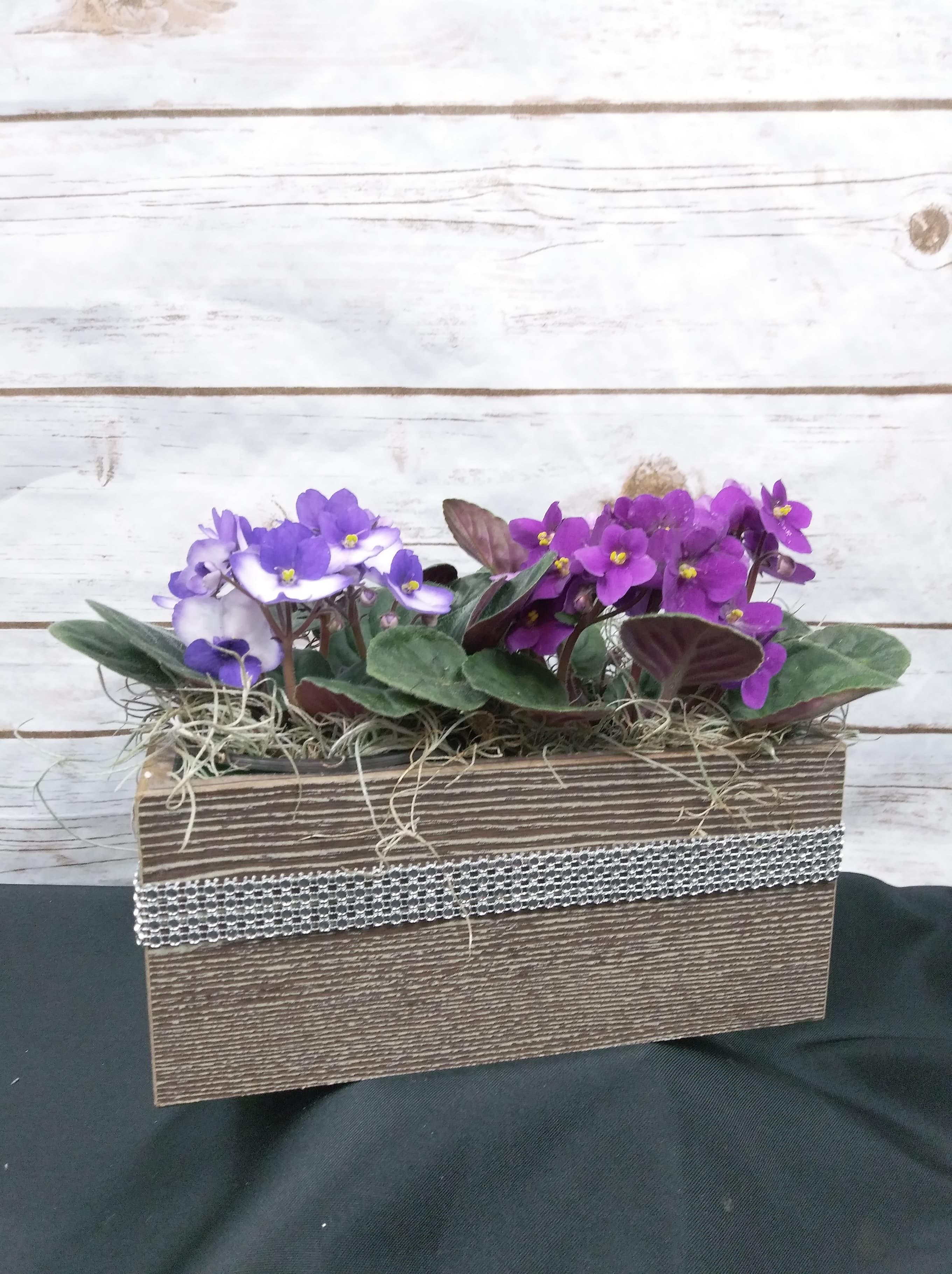 Violets in a Box - 2 African Violets in a Modern Container. We have bling wrapped around the box. Please let us know in the special instructions if you wish to not have it on there. 
