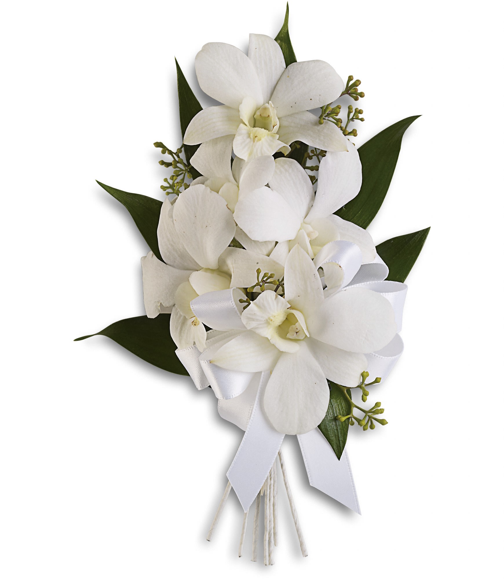 Graceful Orchids Corsage T1966A in Newport Beach, CA Newport Florist