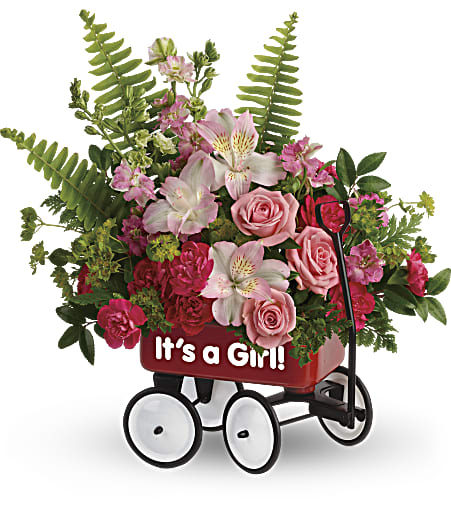 Welcome Beautiful Bouquet TNB12-1 - Give your welcome some wheels! A childhood classic, this cute red wagon is a whimsical way to send the new family a bright pink bouquet of roses, alstroemeria, and carnations.  This beautiful bouquet includes pink spray roses, light pink alstroemeria, miniature hot pink carnations, pink larkspur, bupleurum, huckleberry, sword fern, and leatherleaf fern. Delivered in a Baby's First Wagon. Approximately 14&quot; W x 14&quot; H 