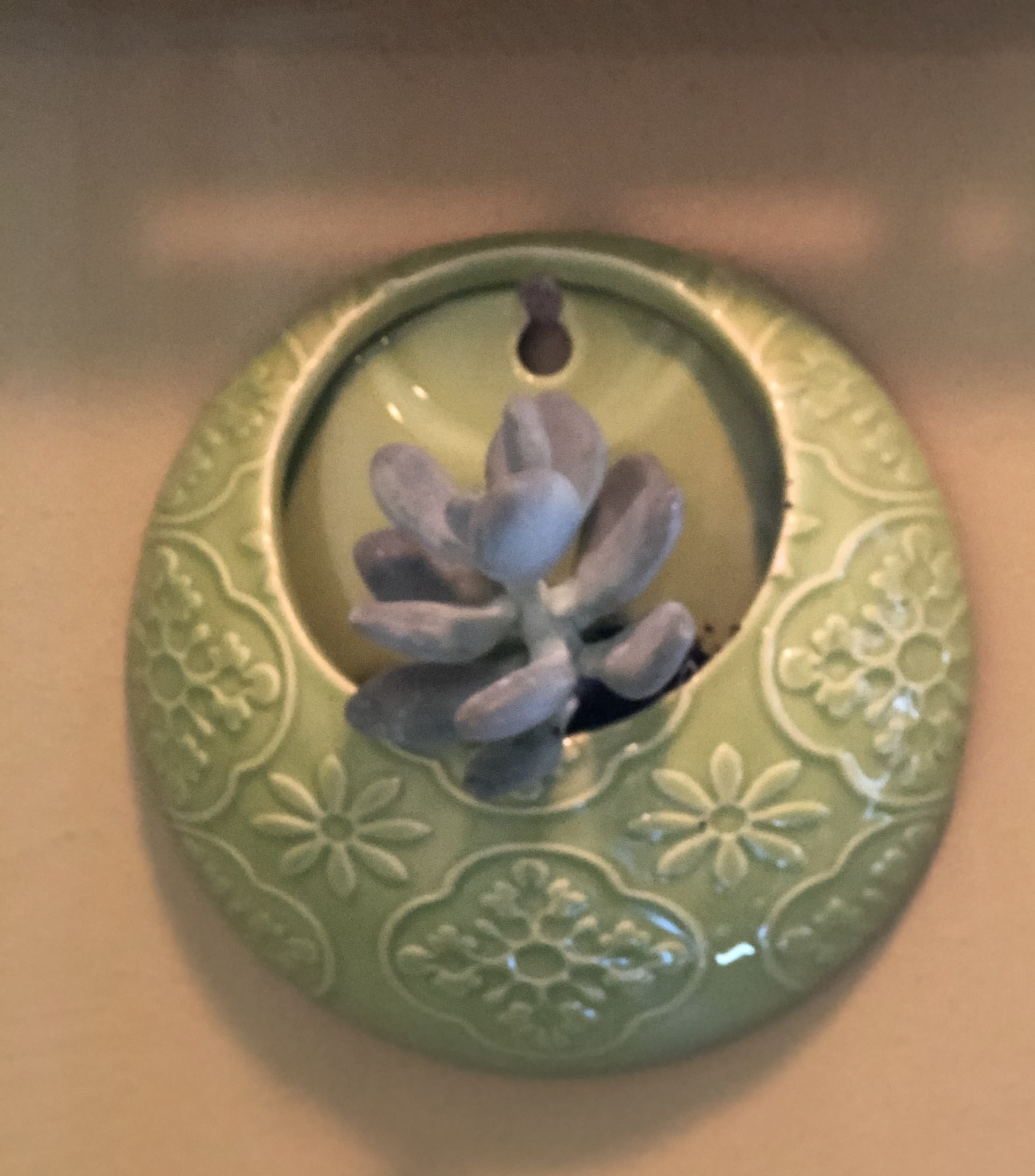 Embossed Wall Pocket  - Our NEWEST product. An Embossed Wall Pocket with Succulent.  (Your choice of 1 of three colors for your wall pocket. Light Purple, Lt. Blue or Lt. Green) Pre-drilled hole for hanging. Great for an Office, Dorm or Home. Mist lightly once per week. Do not allow water to pool in the pocket, no drainage holes. Succulents do like it on the dry side.  Dimensions: 3.5 L X 3.5 W. (Our choice of Succulent) Indoor Use only. 