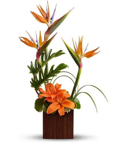 Bamboo Paradise Bouquet - Send them a taste of the tropics with exotic birds of paradise and opulently orange lilies. Delivered in a cube vase made of real bamboo, this exciting bouquet is great for enjoying pina coladas by.  The exciting bouquet includes birds of paradise and orange Asiatic lilies delivered in a contemporary cube vase made of real wood. Bouquet is approximately 17 1/4&quot; W x 26 1/4&quot; H
