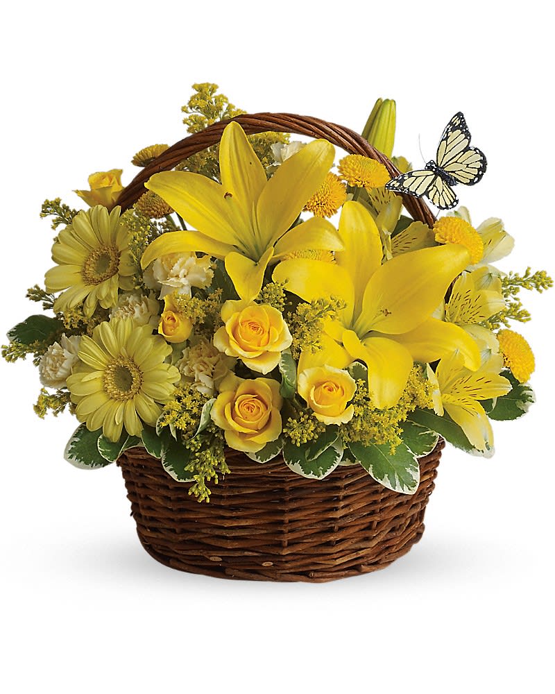 KF_T27-2A  Basket Full of Wishes - Wishes do come true by the basketful actually. This delightful arrangement is so full of sunny blossoms it even includes a pretty yellow butterfly who obviously feels right at home basking in the warmth. Brilliant yellow spray roses asiatic lilies miniature gerberas carnations alstroemeria button spray chrysanthemums and delightful greenery are joined by a delicate butterfly in an oval basket. It's a basket of wonder and wishes!