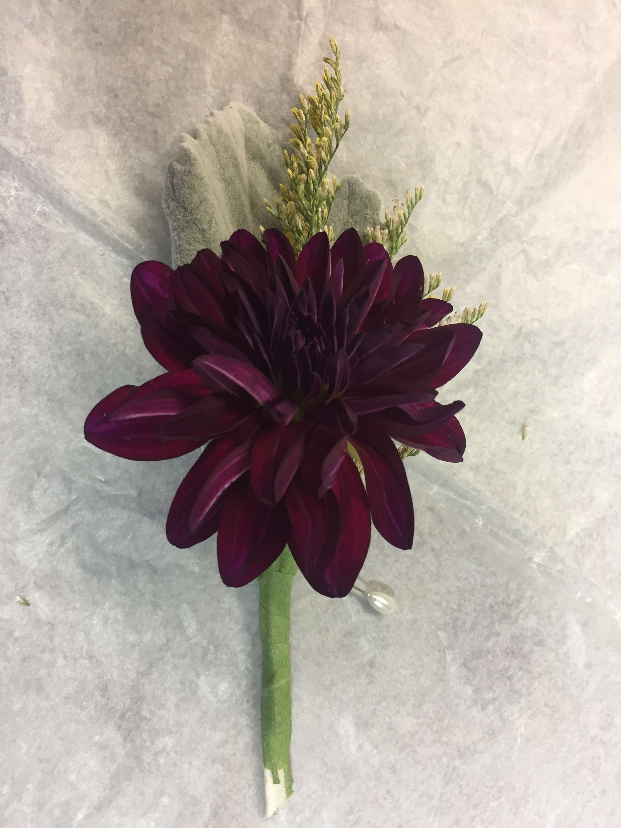 Dahlia Boutonniere - A single Dahlia boutonniere accented with dusty miller and misty blue filler.  Check for availability. This flower is seasonal and price may vary.