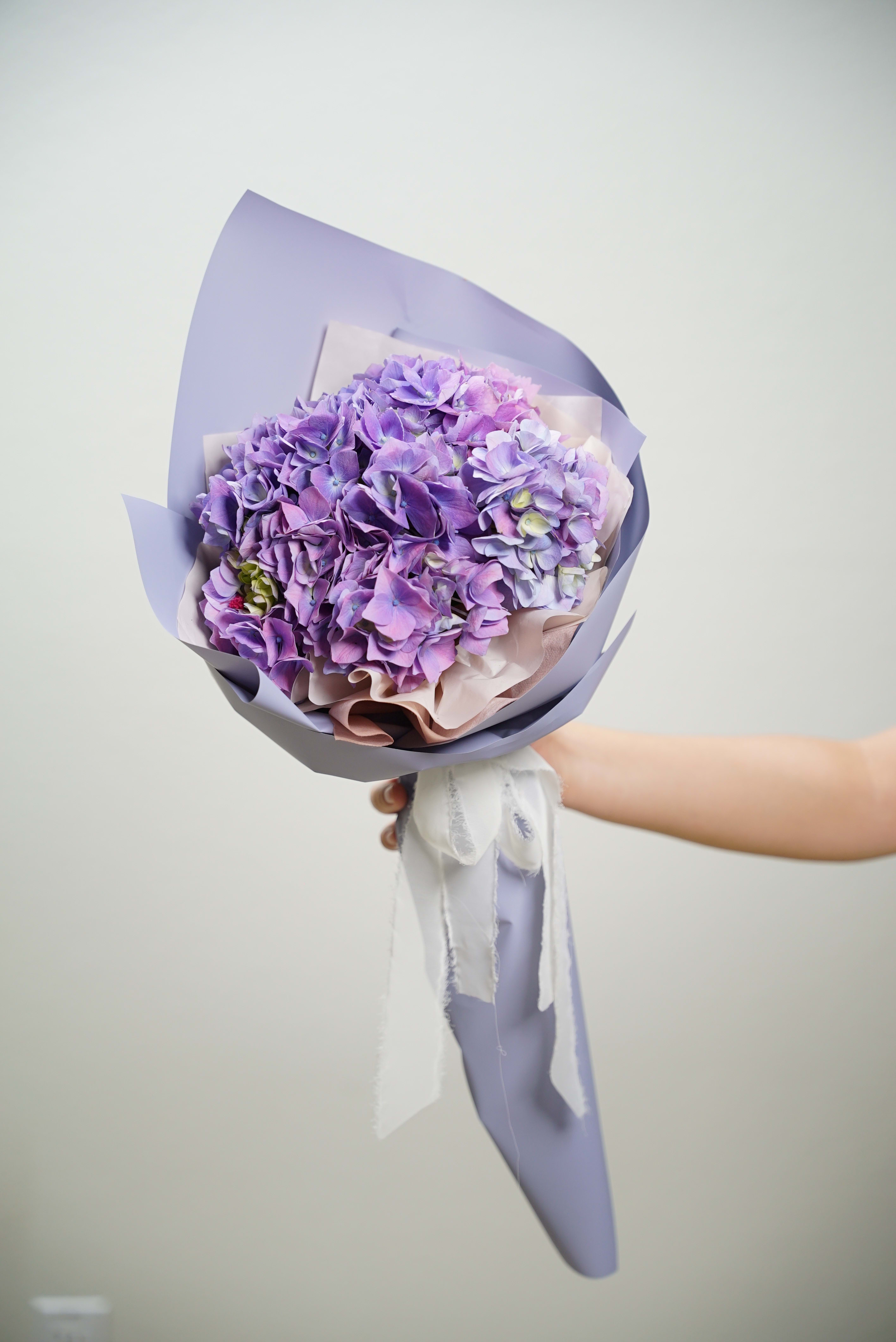 Image of Hydrangea bouquet