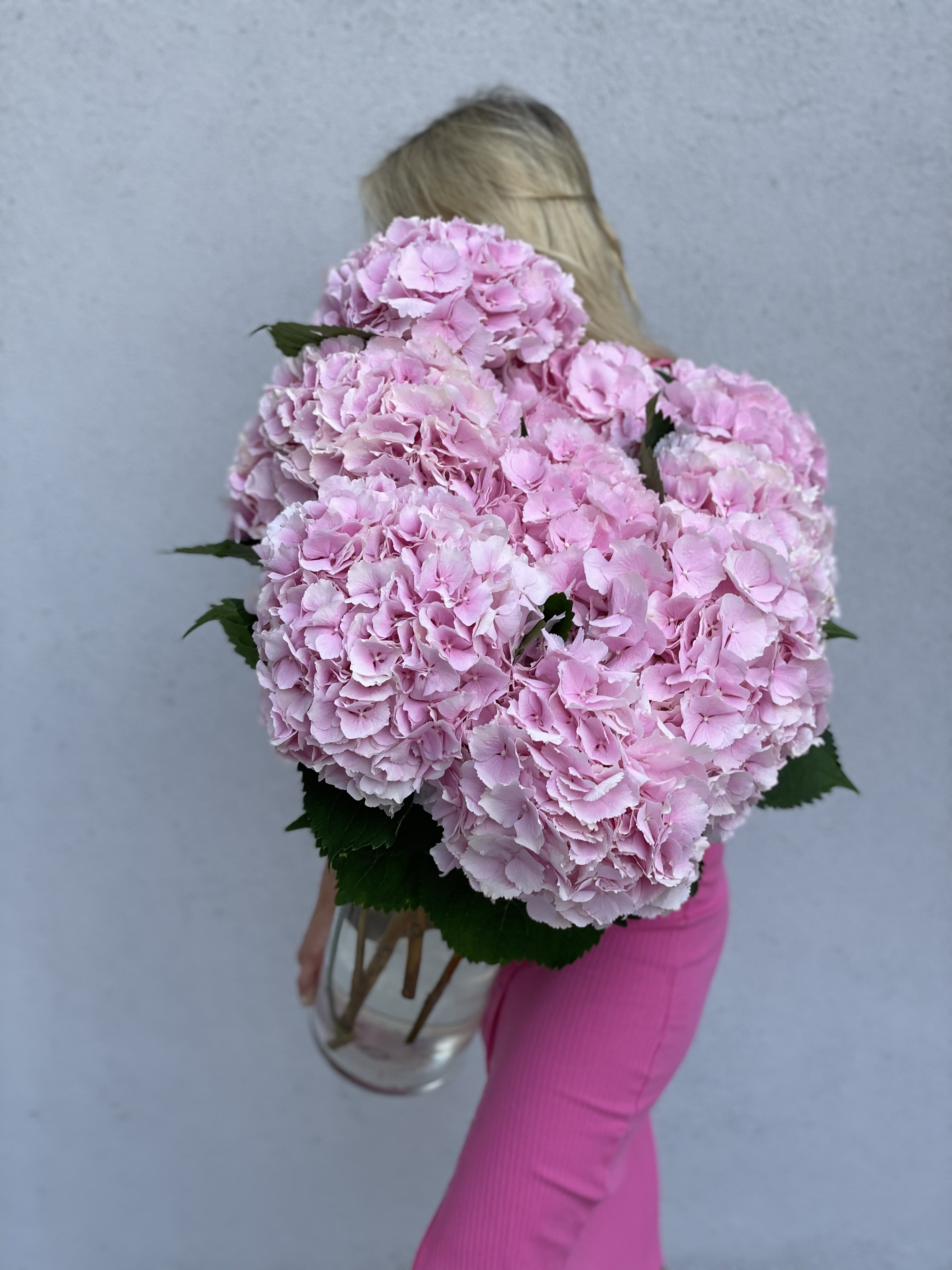 Bunch of premium hydrangeas come with a tall vase - Bunch of premium hydrangeas come with a tall vase