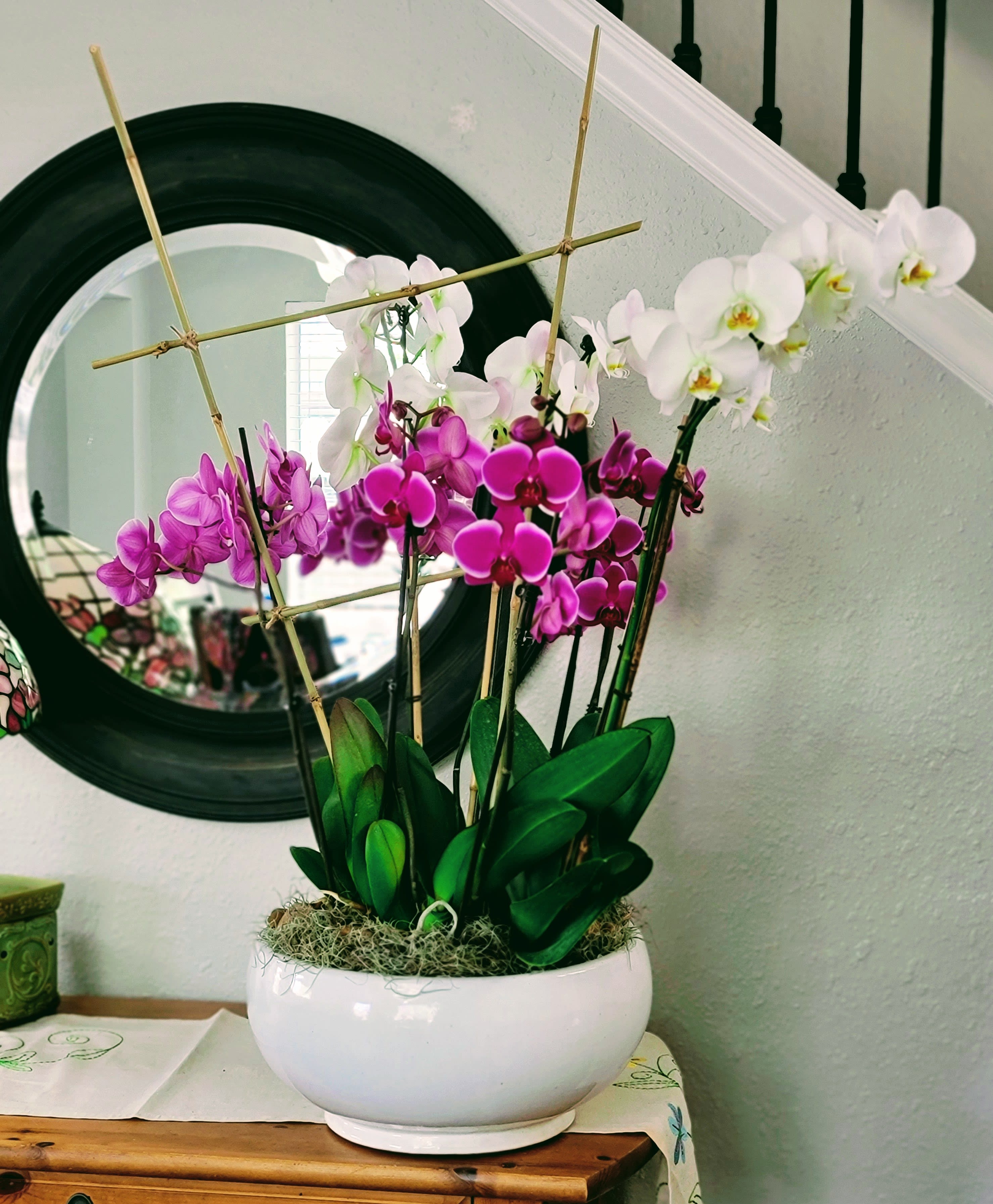 ExtraLarge Orchid Dishgarden by THE FLOWER PUFF GIRLZ