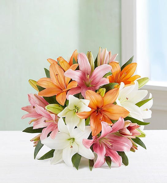 Summer lily cheap