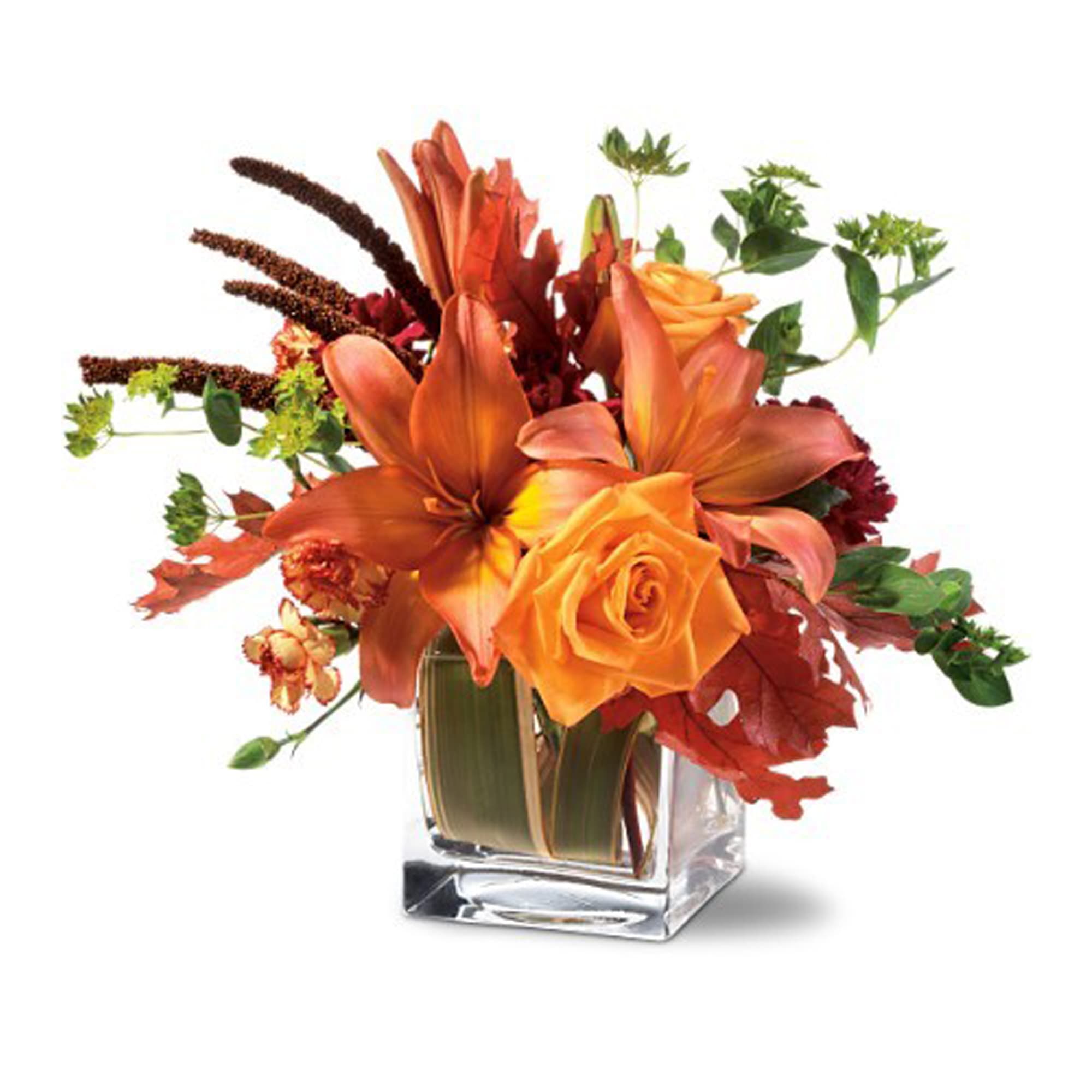 Teleflora's Orange Spice - Subtle with a flicker of fire, this stunning floral arrangement is perfect for a someone who loves life, but also values understatement.    â¢	A stylish clear glass cube vase, filled with salmon-colored Asiatic lilies, orange roses, burgundy carnations, orange bi-color carnations, flax and bupleurum, accented with autumn leaves.    Approximately 8&quot; (W) x 11&quot; (H)    Orientation: All-Around    As Shown : TF-WEB32