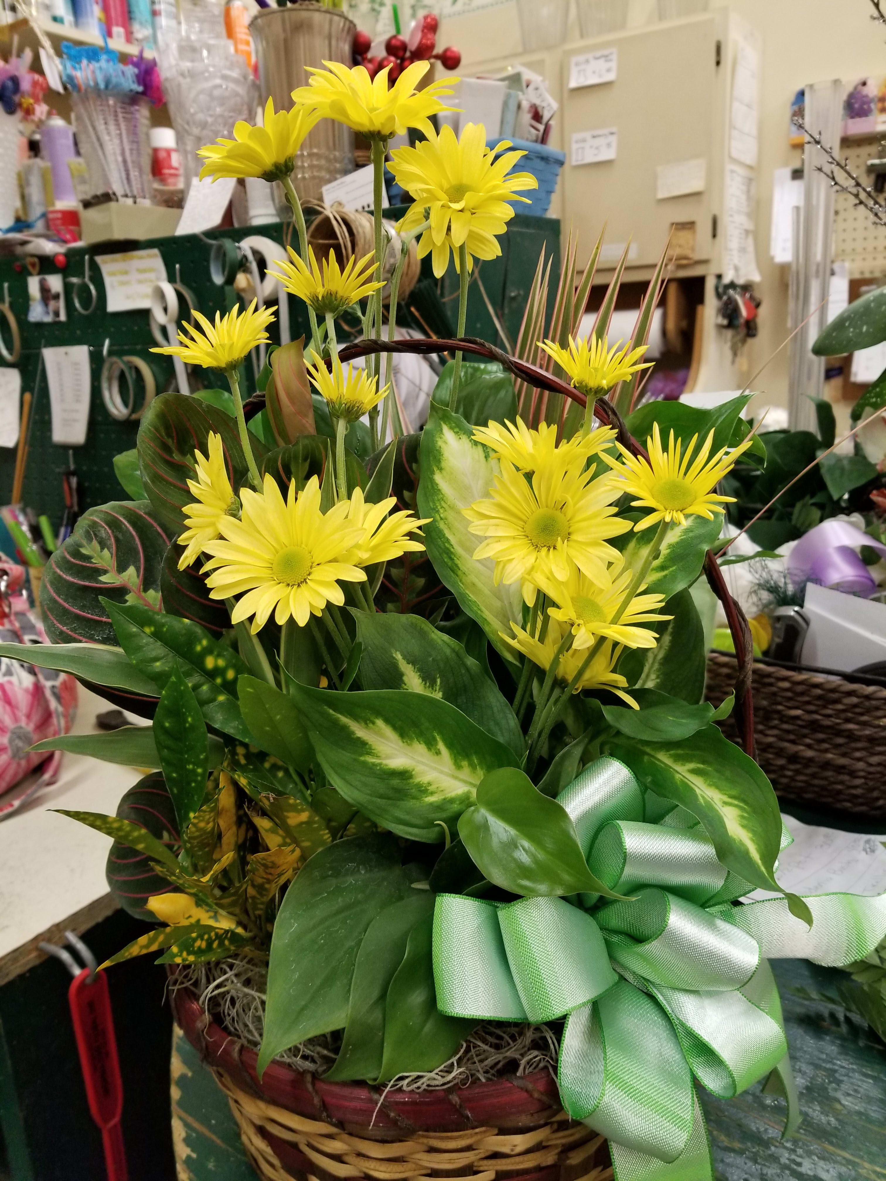 Dish garden with fresh flowers Dish garden with fresh flowers - A little pop of color to add to the occasion you are sending the plants inside a very nice container for. Plants and flowers are subject to change due to availability.