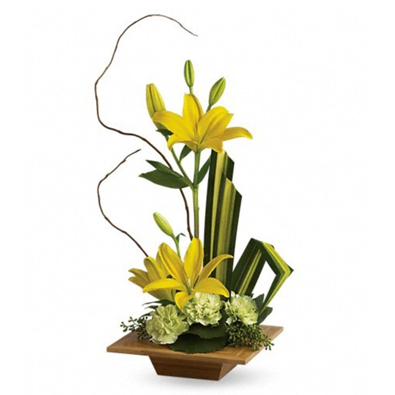 Teleflora's Bamboo Artistry Teleflora's Bamboo Artistry - Give the gift of serenity with a graceful contemporary bouquet artistically arranged in an exotic dish made of real bamboo. A lovely surprise, no matter where or Zen. The stunning bouquet includes yellow asiatic lilies and green carnations accented with tropical greenery. Delivered in a hand-crafted dish made of high-quality bamboo. Orientation: One-Sided All prices in USD ($) Standard T10N600A Deluxe T10N600B Premium T10N600C
