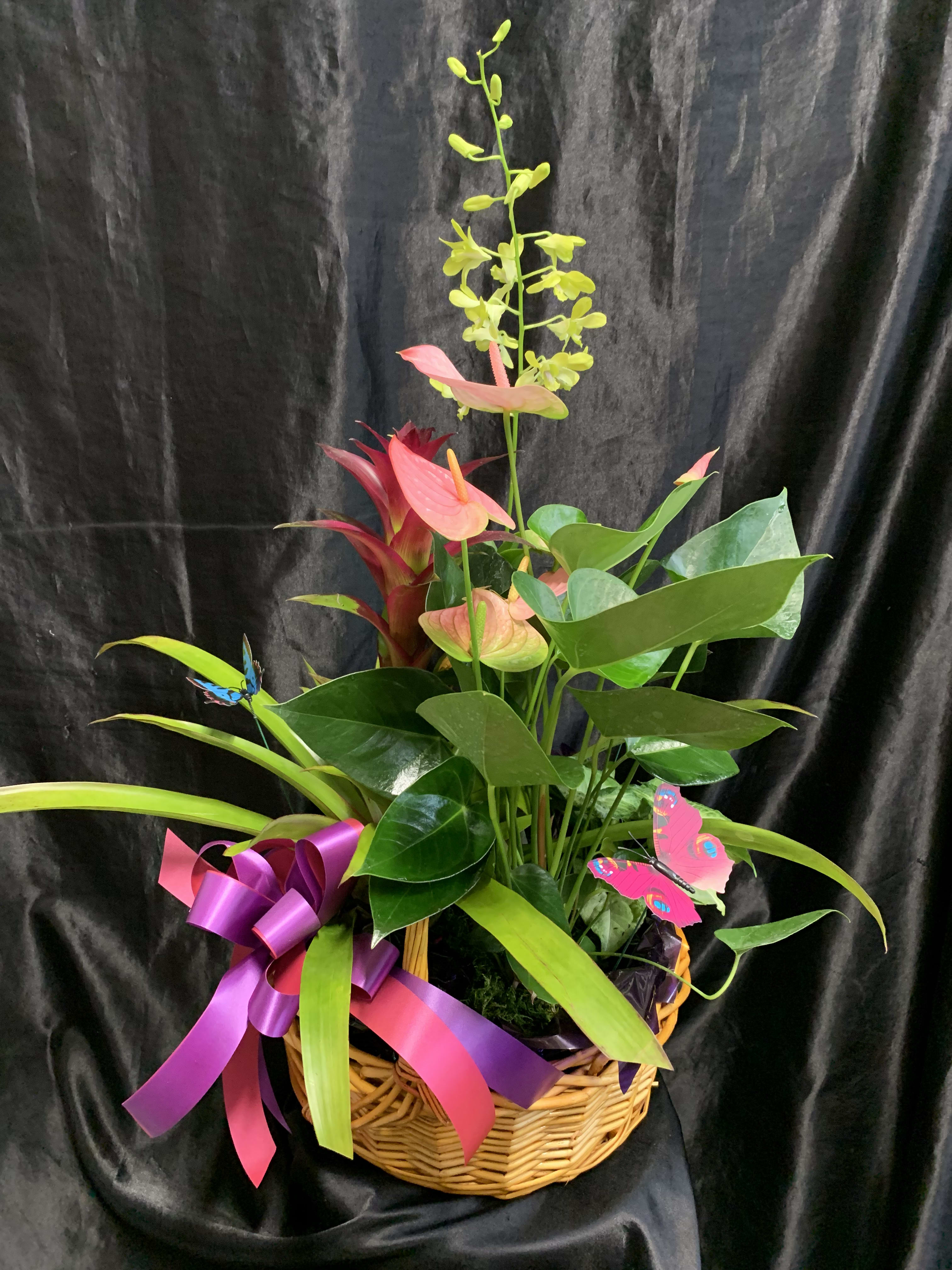 DELUXE DISH GARDEN in Lihue, HI Flowers Forever LLC