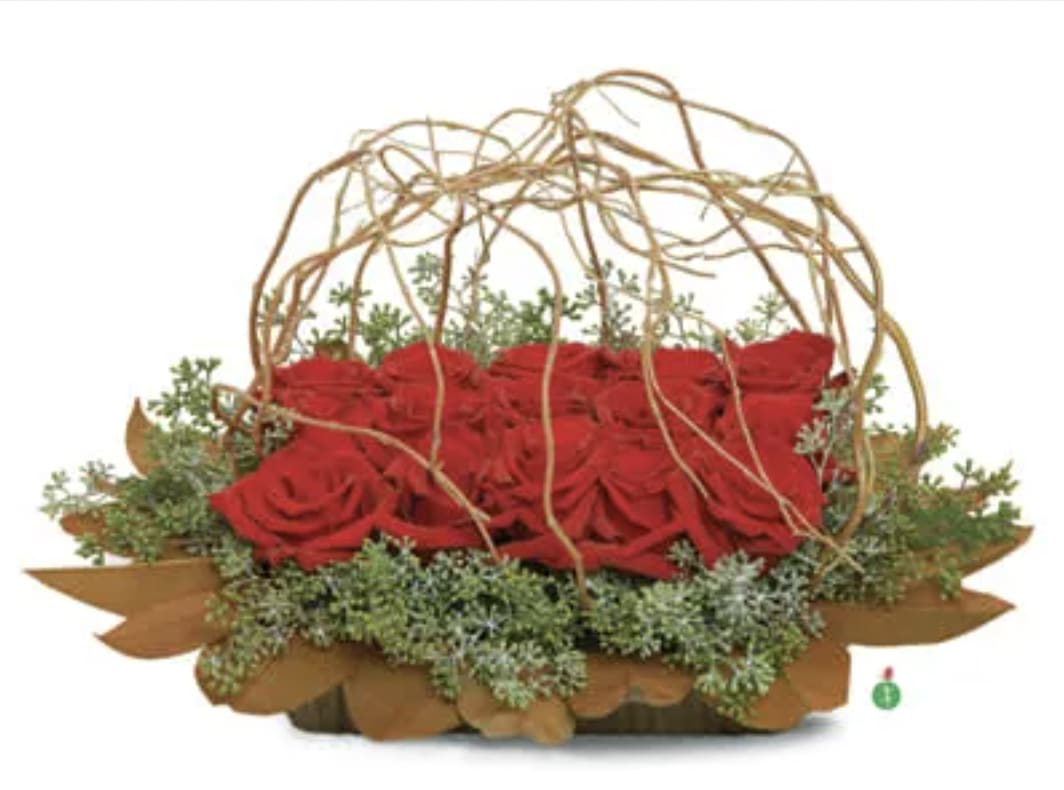 Rose Revelation Rose Revelation - For a truly original gift, choose this striking and creative arrangement of fresh roses and seeded eucalyptus, resting on a bed of leaves under a lattice of vines. A fabulous hostess gift for a dinner party, or a conversation piece for any special event.