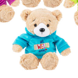 Plush Get Well Bear - Plush Bear with teal hoodie and get well greeting. Message bear by Ganz. 8&quot; H