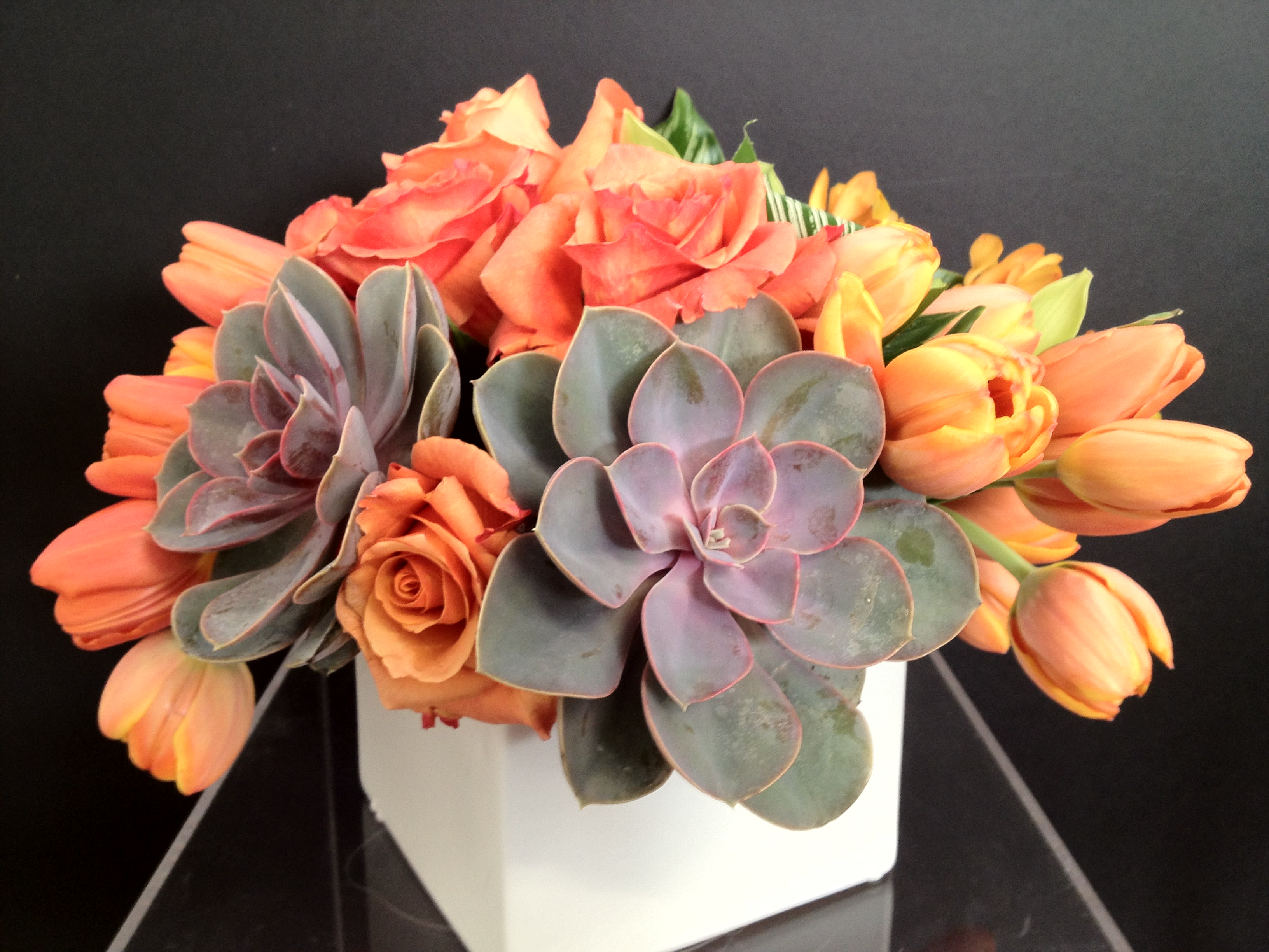 Succulents + Flowers = YES! – WildFlora